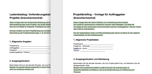 Ansicht Lastenkatalog und Projektbriefing, mit allgemeinen Angaben und Ausgangssituation.