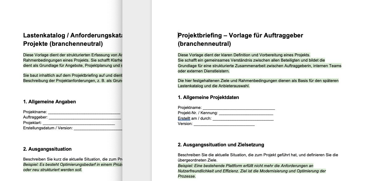 Ansicht Lastenkatalog und Projektbriefing, mit allgemeinen Angaben und Ausgangssituation.